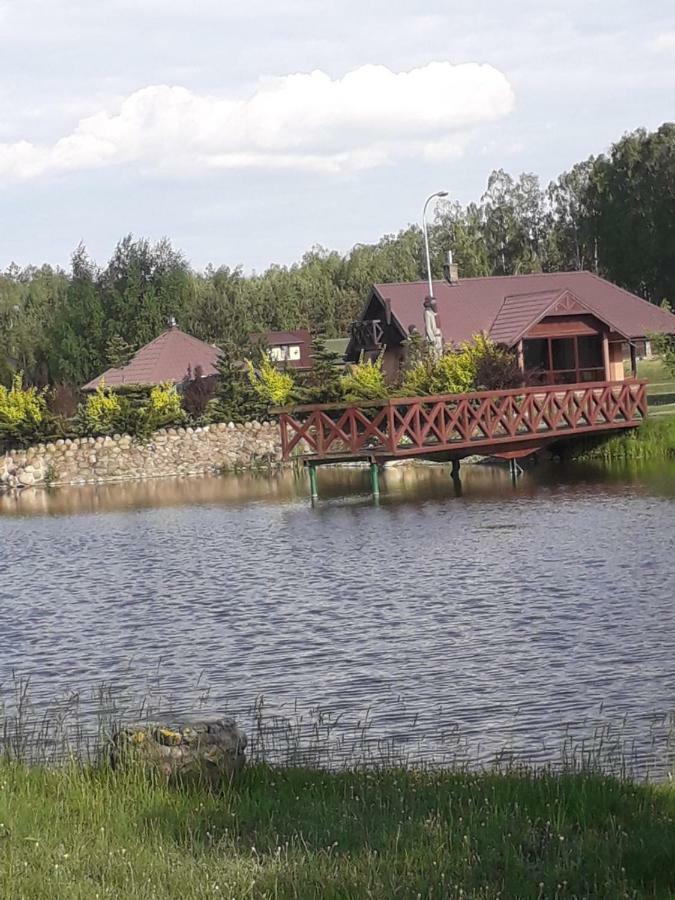 Apartament Dom nad stawem przy lesie Burkat Zewnętrze zdjęcie